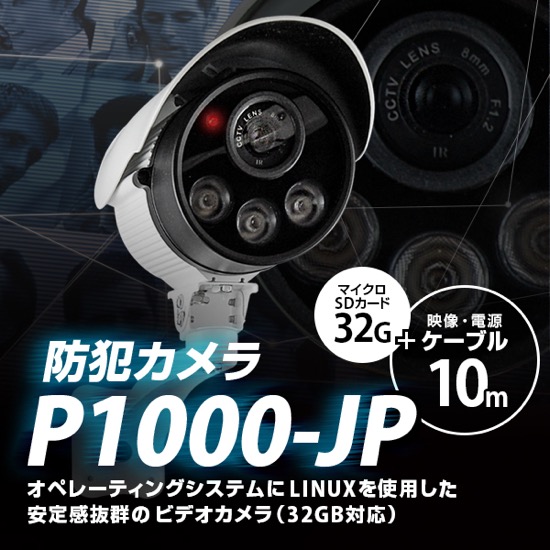 防犯カメラ P1000JP-10