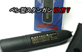�y���^ 10��V