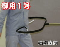 ��p1���@�ߑ����O