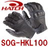 nb`SOG-HKL100